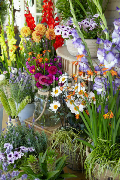 Porch with summer flowers Porch with summer flowers