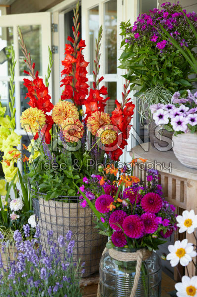 Porch with summer flowers Porch with summer flowers