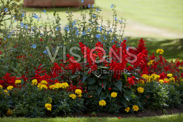 Summer border Summer border