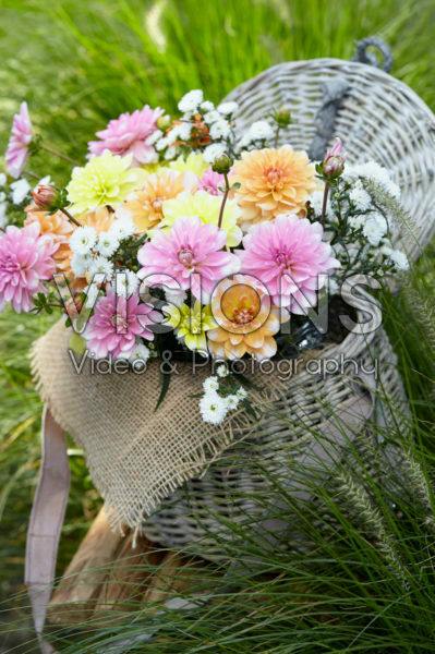 Dahlia bouquet pastel Dahlia bouquet pastel