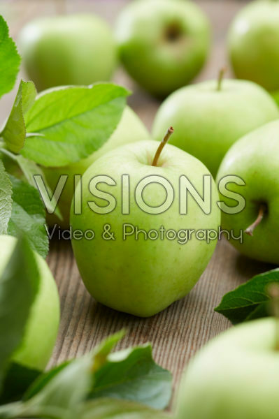 Malus domestica Golden Delicious Malus domestica Golden Delicious