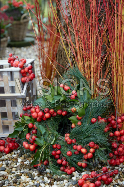 Winter wreath Winter wreath