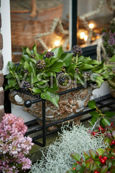 Winter decoration Winter decoration