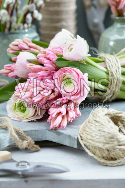 Voorjaarsbloemen Voorjaarsbloemen