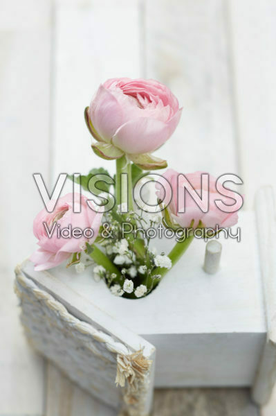 Ranunculus Pink, Gypsophila Ranunculus Pink, Gypsophila