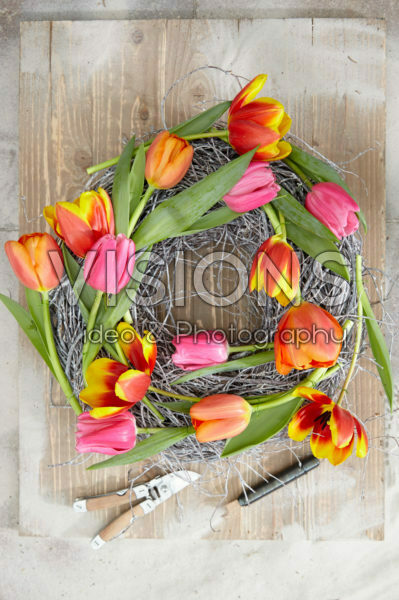 Tulipa wreath Tulipa wreath