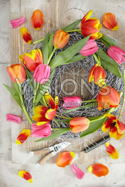 Tulipa wreath Tulipa wreath