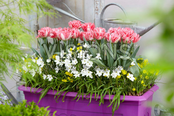 Spring container Spring container