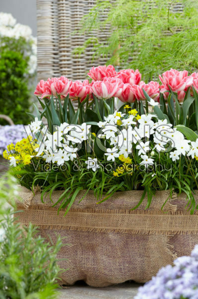 Spring container Spring container