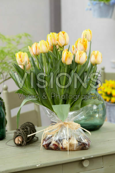 Tulipa Foxy Foxtrot bulb bouquet Tulipa Foxy Foxtrot bulb bouquet