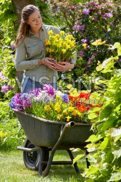 Dame met voorjaarsbloemen Dame met voorjaarsbloemen