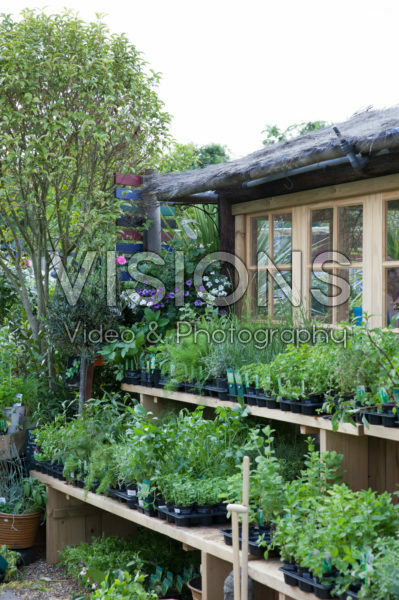 Garden centre Garden centre