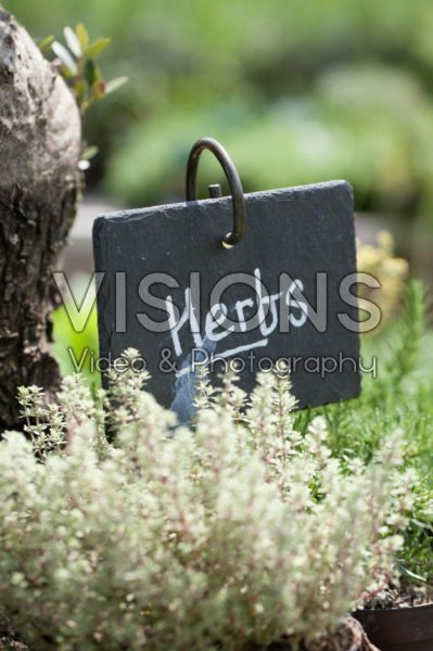 Plant sign Plant sign