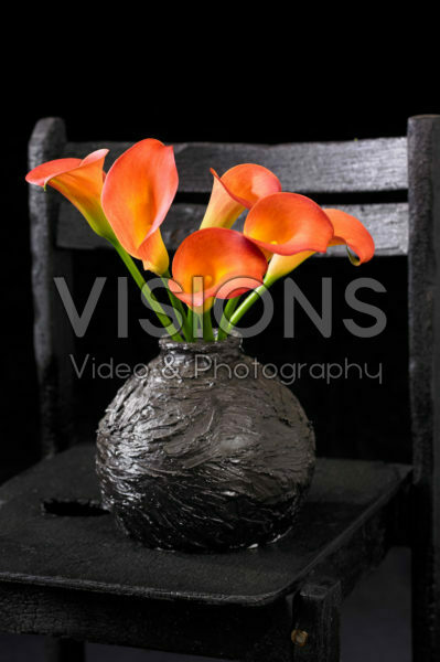 Zantedeschia in vase Zantedeschia in vase