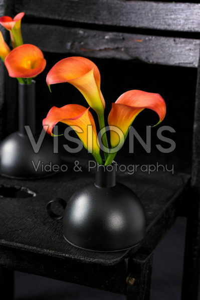 Zantedeschia in vase Zantedeschia in vase