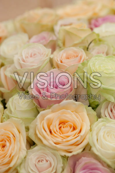 Pastel roses Pastel roses