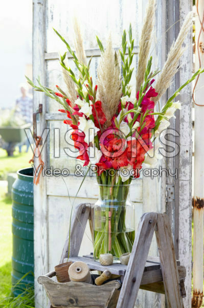 Gladiolus bouquet Gladiolus bouquet