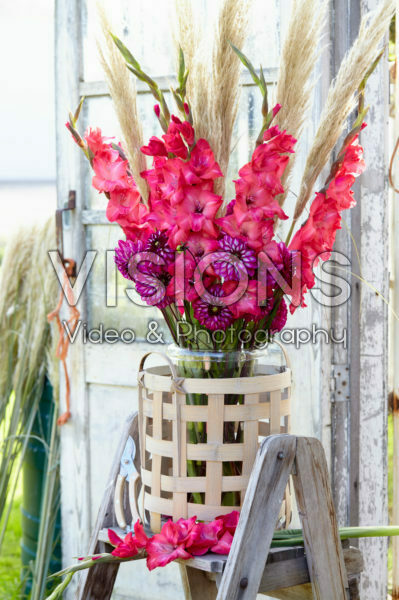 Gladiolus and Dahlia bouquet Gladiolus and Dahlia bouquet
