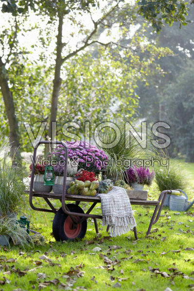 Summer collection on wheelbarrow Summer collection on wheelbarrow