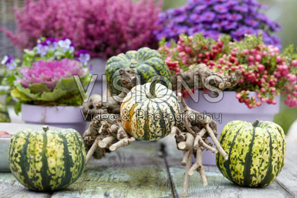 Decorated garden table Decorated garden table