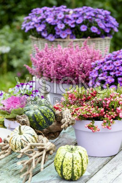 Decorated garden table Decorated garden table