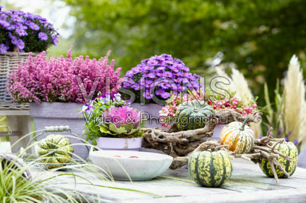 Decorated garden table Decorated garden table