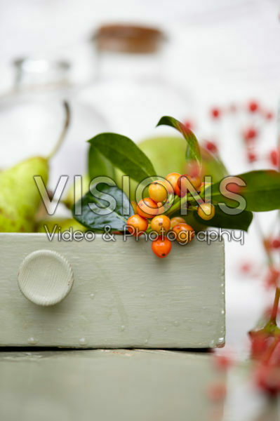 Ilex berries Ilex berries