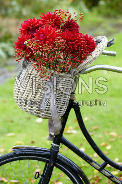 Flowers in bicycle basket Flowers in bicycle basket