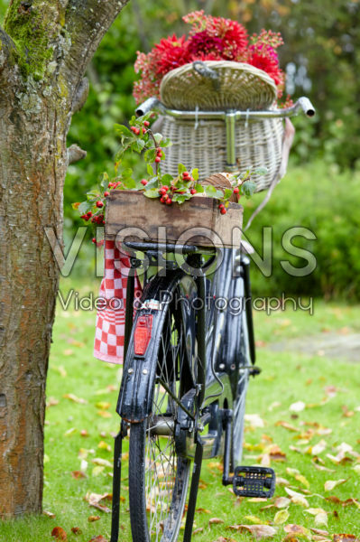 Flowers in bicycle basket Flowers in bicycle basket