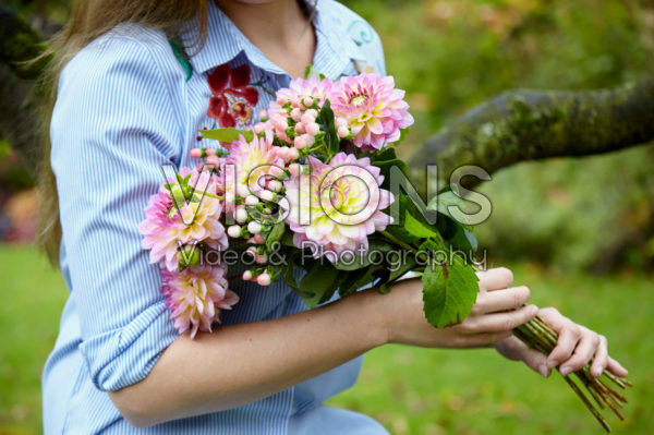 Lady with Dahlias Lady with Dahlias