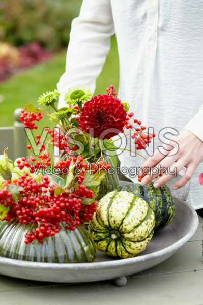 Decorative fruits and flowers Decorative fruits and flowers