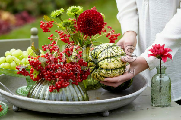 Decorative fruits and flowers Decorative fruits and flowers