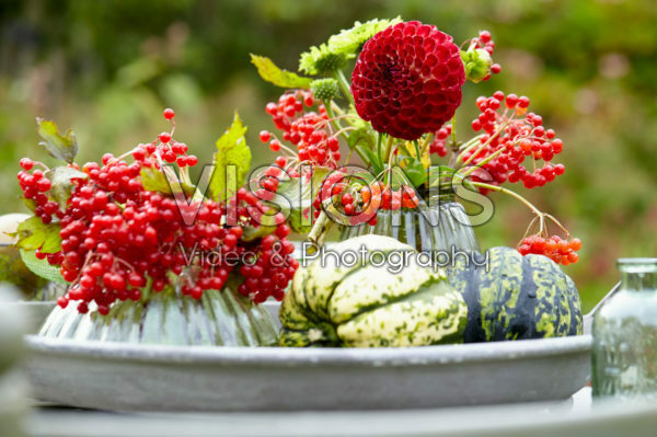 Decorative fruits and flowers Decorative fruits and flowers