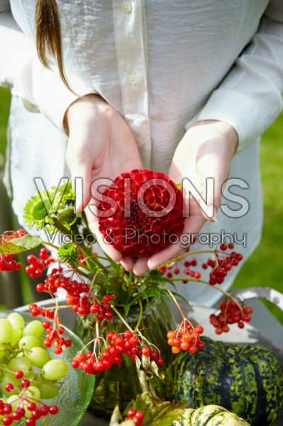 Decorative fruits and flowers Decorative fruits and flowers