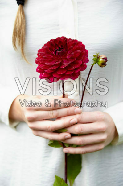 Lady with Dahlia Lady with Dahlia