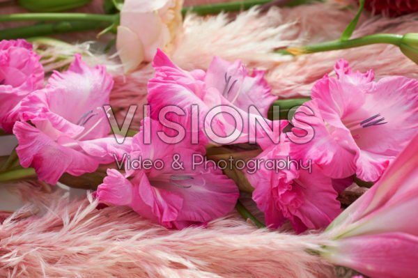 Still life gladioli Still life gladioli