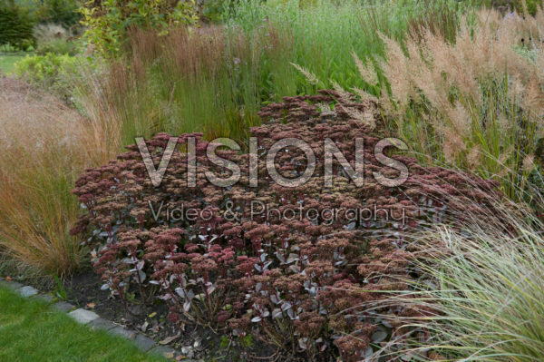 Autumn border Autumn border