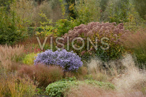 Autumn garden Autumn garden