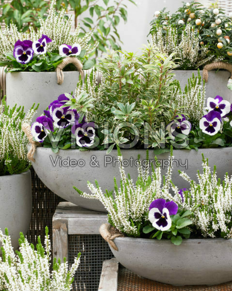 Winter containers Winter containers