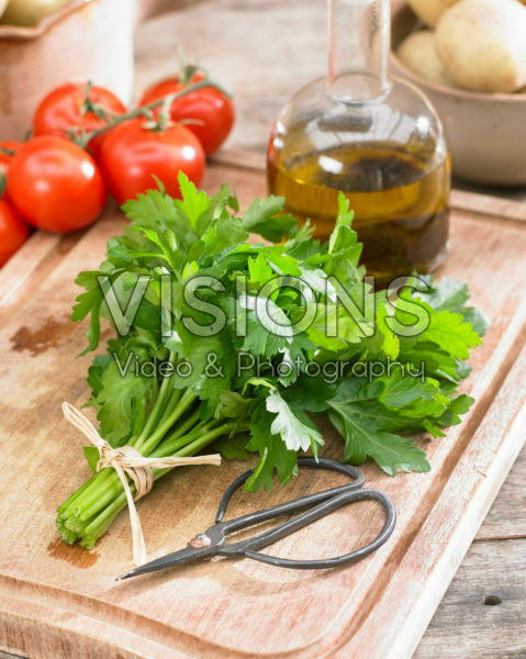 Petroselinum crispum var. neapolitanum Petroselinum crispum var. neapolitanum