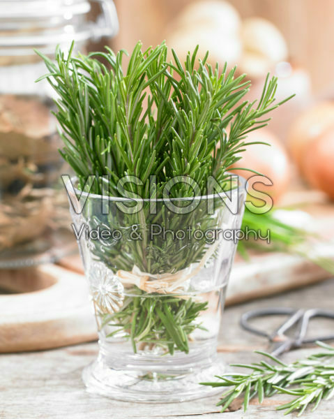 Rosmarinus officinalis Rosmarinus officinalis
