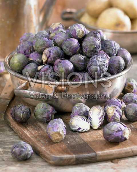 Brassica oleracea var. gemmifera Brassica oleracea var. gemmifera