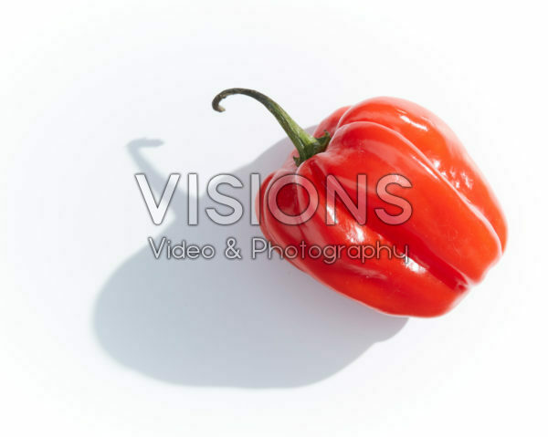 Capsicum chinense Adjuma Capsicum chinense Adjuma