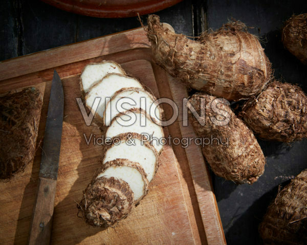 Colocasia antiquorum, Eddoe Colocasia antiquorum, Eddoe