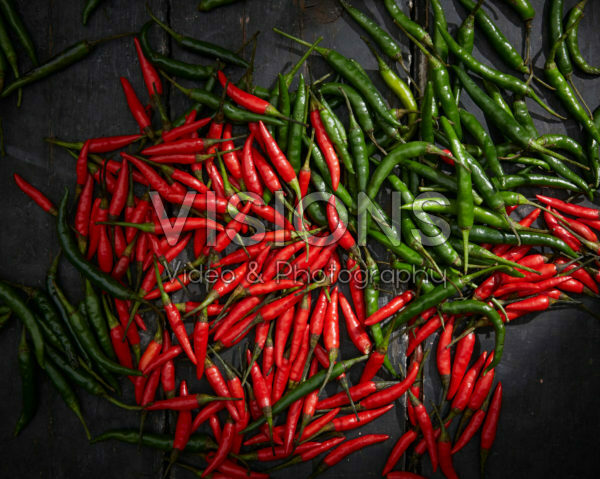 Capsicum frutescens Rawit Capsicum frutescens Rawit