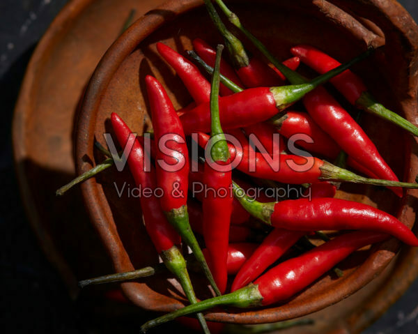 Capsicum frutescens Rawit Capsicum frutescens Rawit