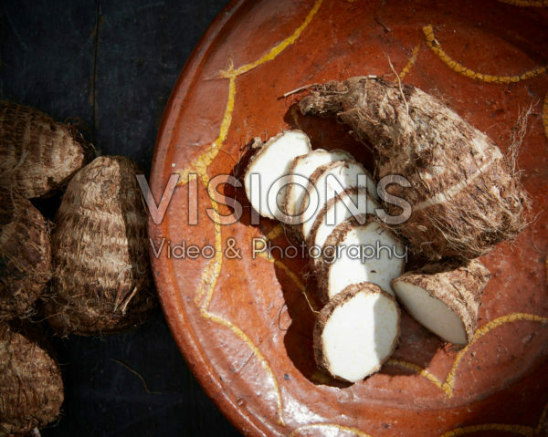 Colocasia antiquorum, Eddoe Colocasia antiquorum, Eddoe