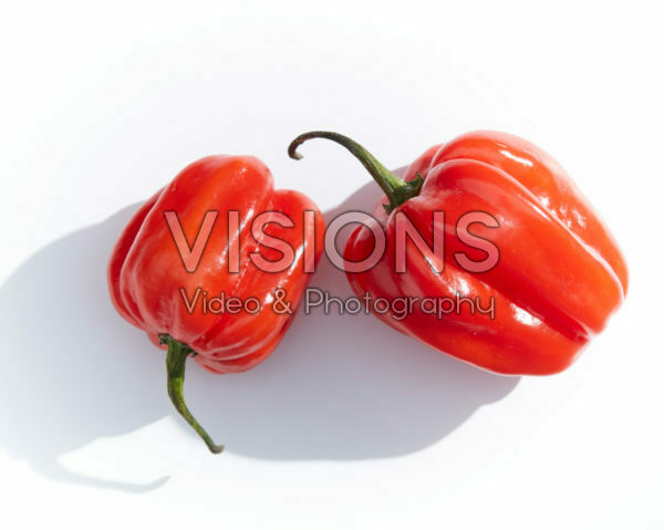 Capsicum chinense Adjuma Capsicum chinense Adjuma