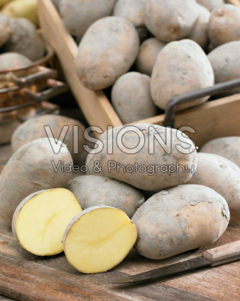 Solanum tuberosum Frieslander Solanum tuberosum Frieslander