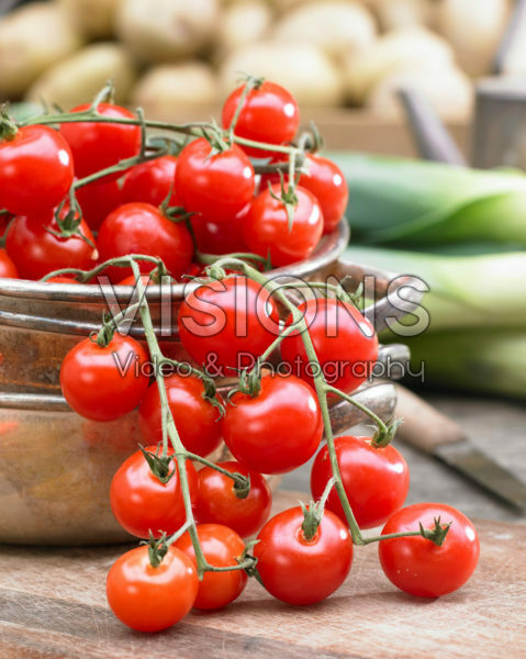 Solanum lycopersicum Solanum lycopersicum
